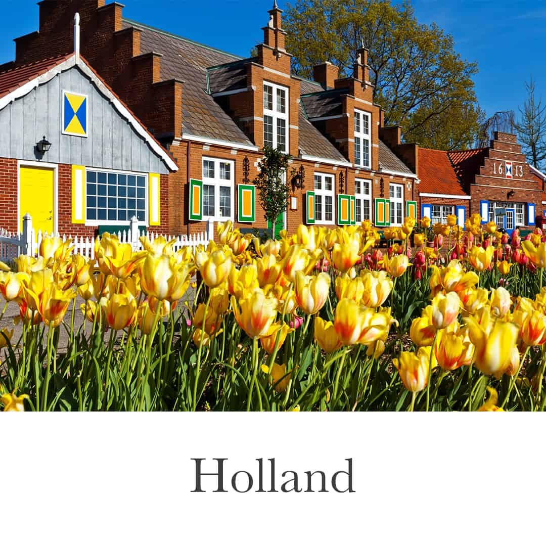 Tulips in bloom in Holland, Michigan, highlighting the scenic surroundings of local homes and properties.